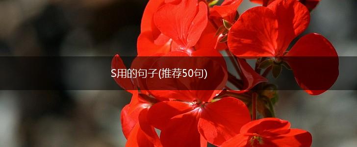 S用的句子(推荐50句),第1张
