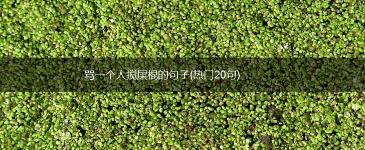 骂一个人搅屎棍的句子(热门20句),第1张