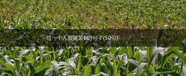 骂一个人很能装b的句子(50句),第1张