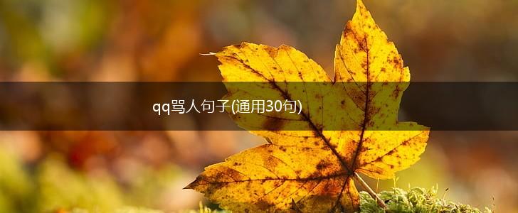 qq骂人句子(通用30句),第1张