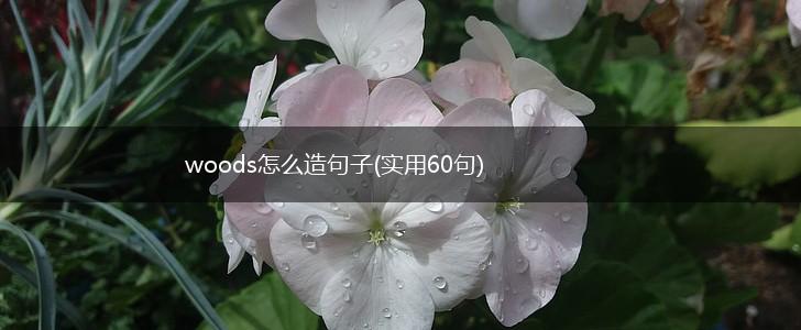 woods怎么造句子(实用60句),第1张