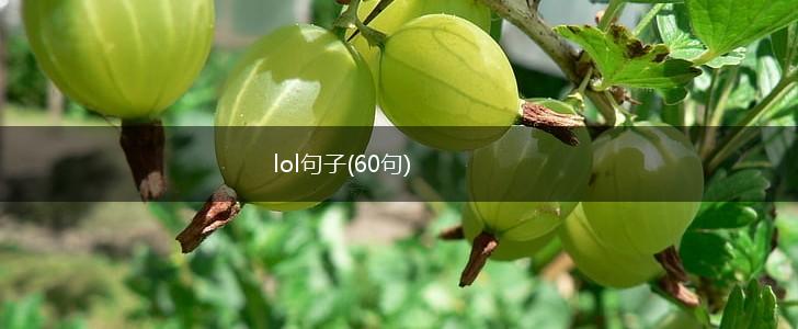 lol句子(60句),第1张