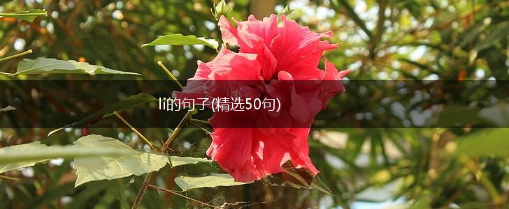 li的句子(精选50句),第1张