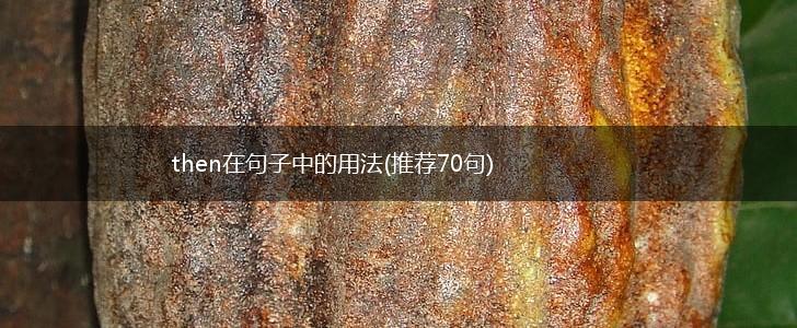 then在句子中的用法(推荐70句),第1张