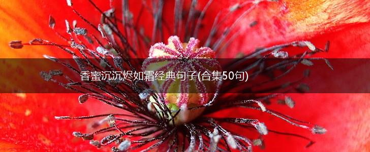 香蜜沉沉烬如霜经典句子(合集50句),第1张