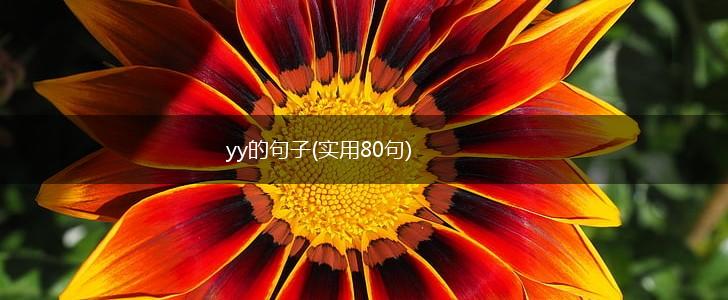 yy的句子(实用80句),第1张