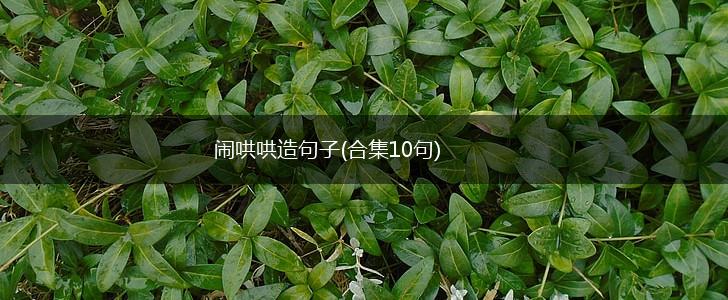 闹哄哄造句子(合集10句),第1张