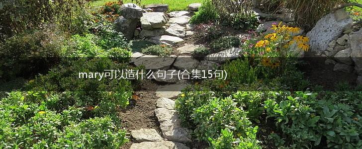 mary可以造什么句子(合集15句),第1张