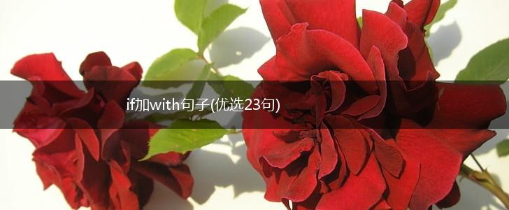 if加with句子(优选23句),第1张