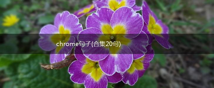 chrome句子(合集20句),第1张