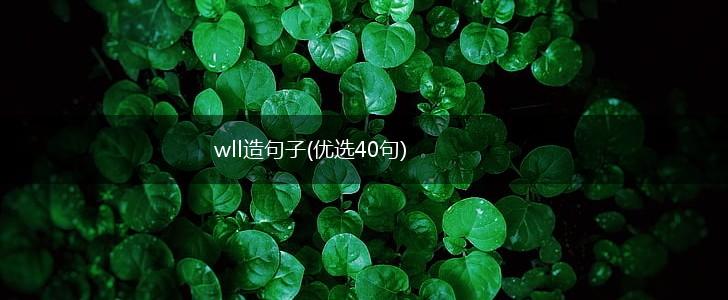 wll造句子(优选40句),第1张