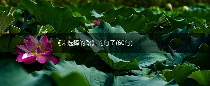 《未选择的路》的句子(60句),第1张