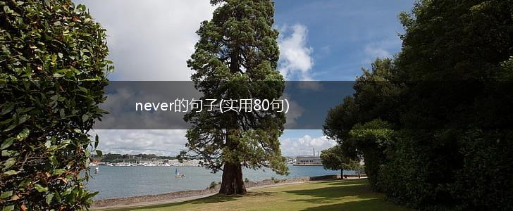 never的句子(实用80句),第1张