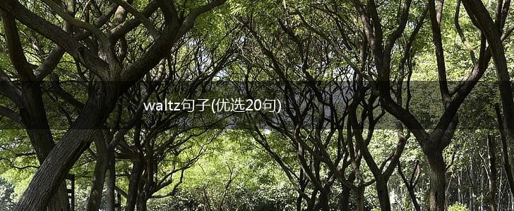 waltz句子(优选20句),第1张