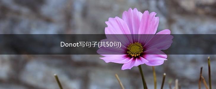 Donot写句子(共50句),第1张