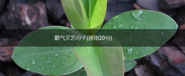 霸气文艺句子(通用20句),第1张