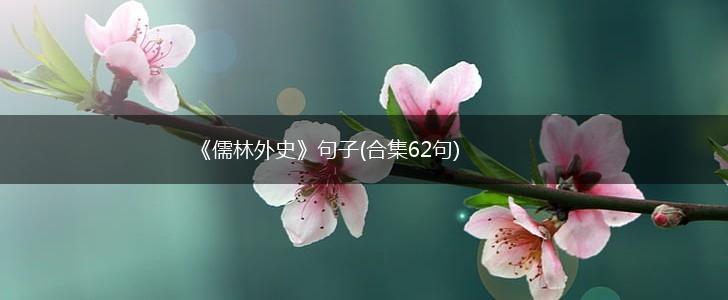 《儒林外史》句子(合集62句),第1张