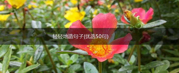 轻轻地造句子(优选50句),第1张