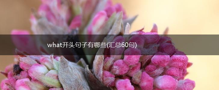 what开头句子有哪些(汇总60句),第1张