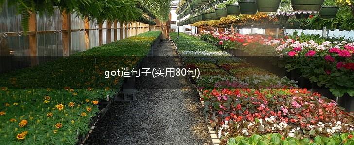 got造句子(实用80句),第1张