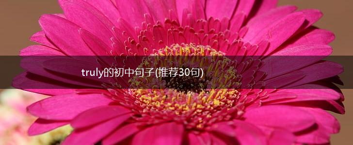 truly的初中句子(推荐30句),第1张