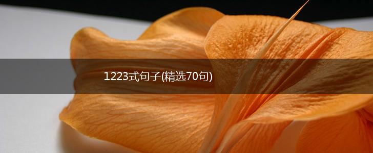 1223式句子(精选70句),第1张