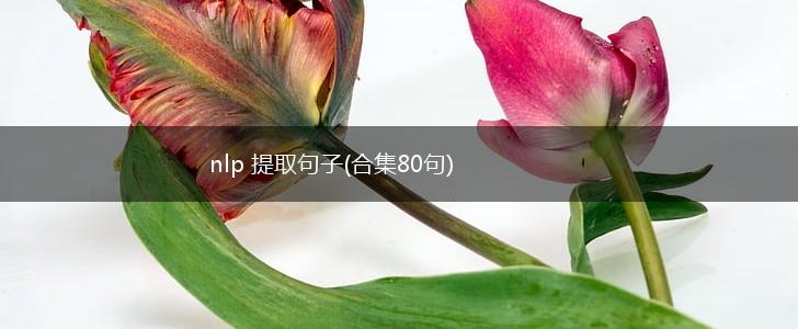 nlp 提取句子(合集80句),第1张