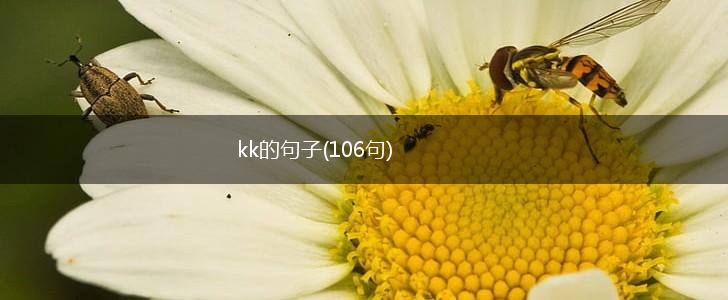 kk的句子(106句),第1张