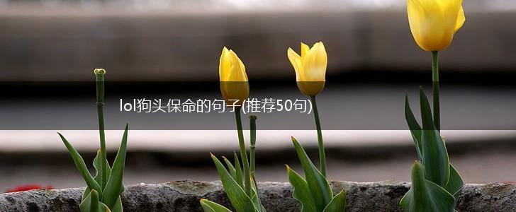 lol狗头保命的句子(推荐50句),第1张