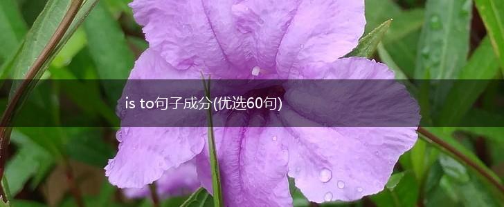 is to句子成分(优选60句),第1张
