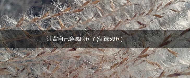 违背自己意愿的句子(优选59句),第1张
