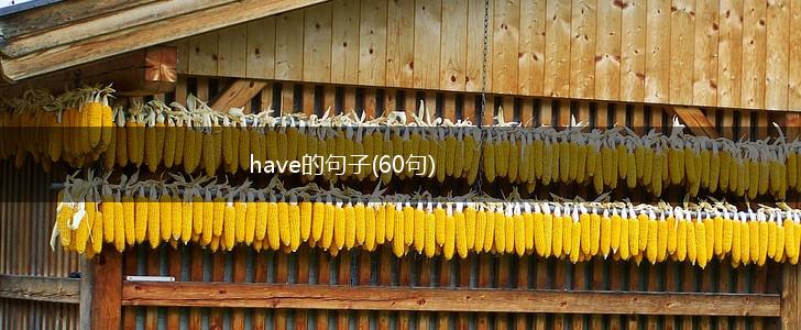 have的句子(60句),第1张