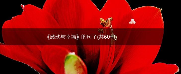 《感动与幸福》的句子(共60句),第1张
