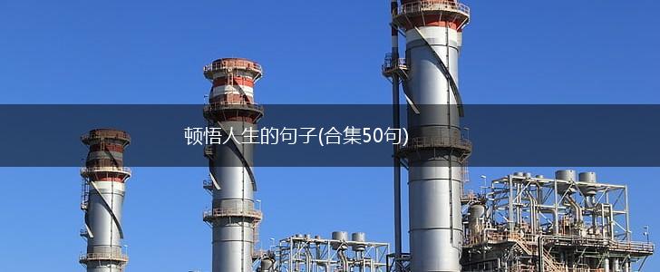 顿悟人生的句子(合集50句),第1张