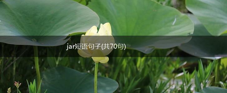 jar短语句子(共70句),第1张