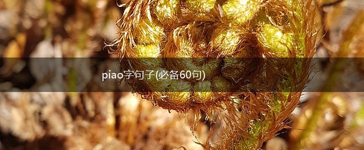 piao字句子(必备60句),第1张