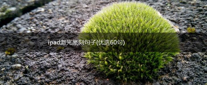 ipad激光篆刻句子(优选60句),第1张