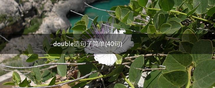 double造句子简单(40句),第1张