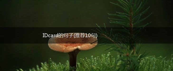 IDcard的句子(推荐10句),第1张