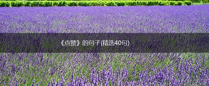 《点赞》的句子(精选40句),第1张