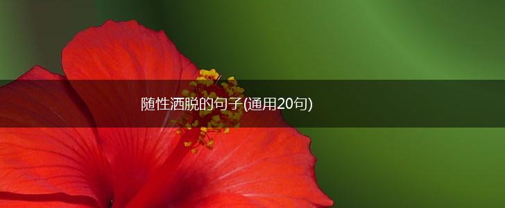 随性洒脱的句子(通用20句),第1张