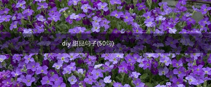 diy 甜品句子(50句),第1张