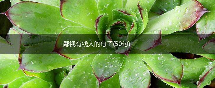 鄙视有钱人的句子(50句),第1张