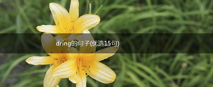 dring的句子(优选15句),第1张