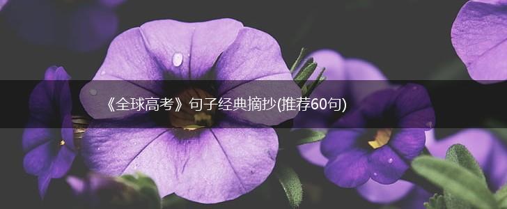 《全球高考》句子经典摘抄(推荐60句),第1张