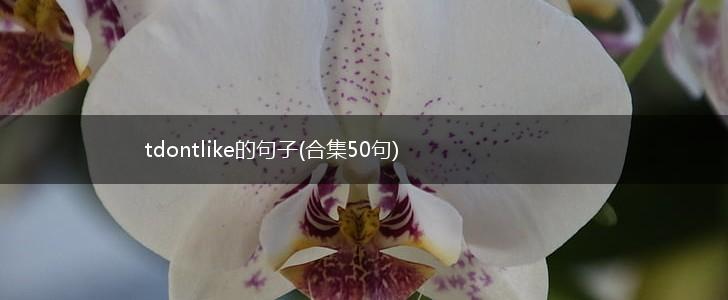 tdontlike的句子(合集50句),第1张