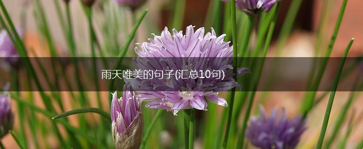雨天唯美的句子(汇总10句),第1张