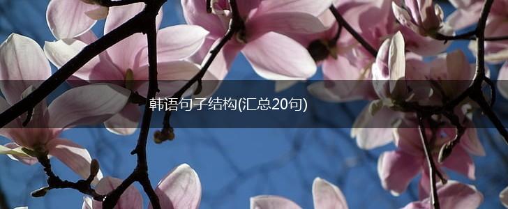 韩语句子结构(汇总20句),第1张