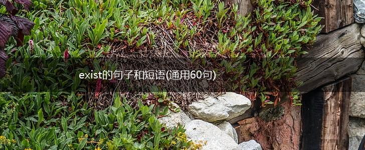 exist的句子和短语(通用60句),第1张