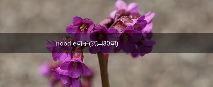 noodle句子(实用80句),第1张